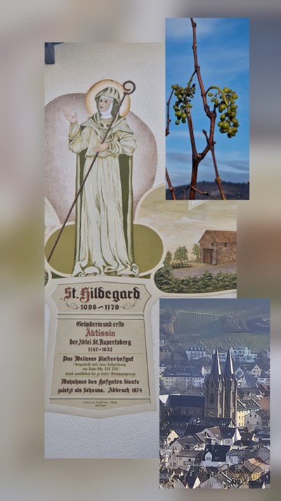 Weinwanderung auf den Spuren des Klosters Rupertsberg