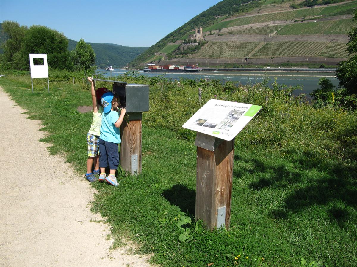 Naturstationen im Park am Mäuseturm