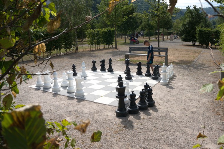 Schachfeld