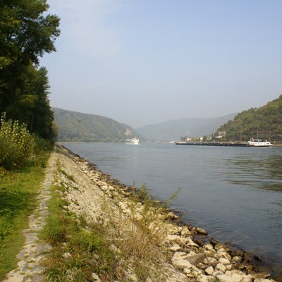 Ausgebautes Flussufer  |  Quelle: NABU Naturschutzzentrum Rheinauen