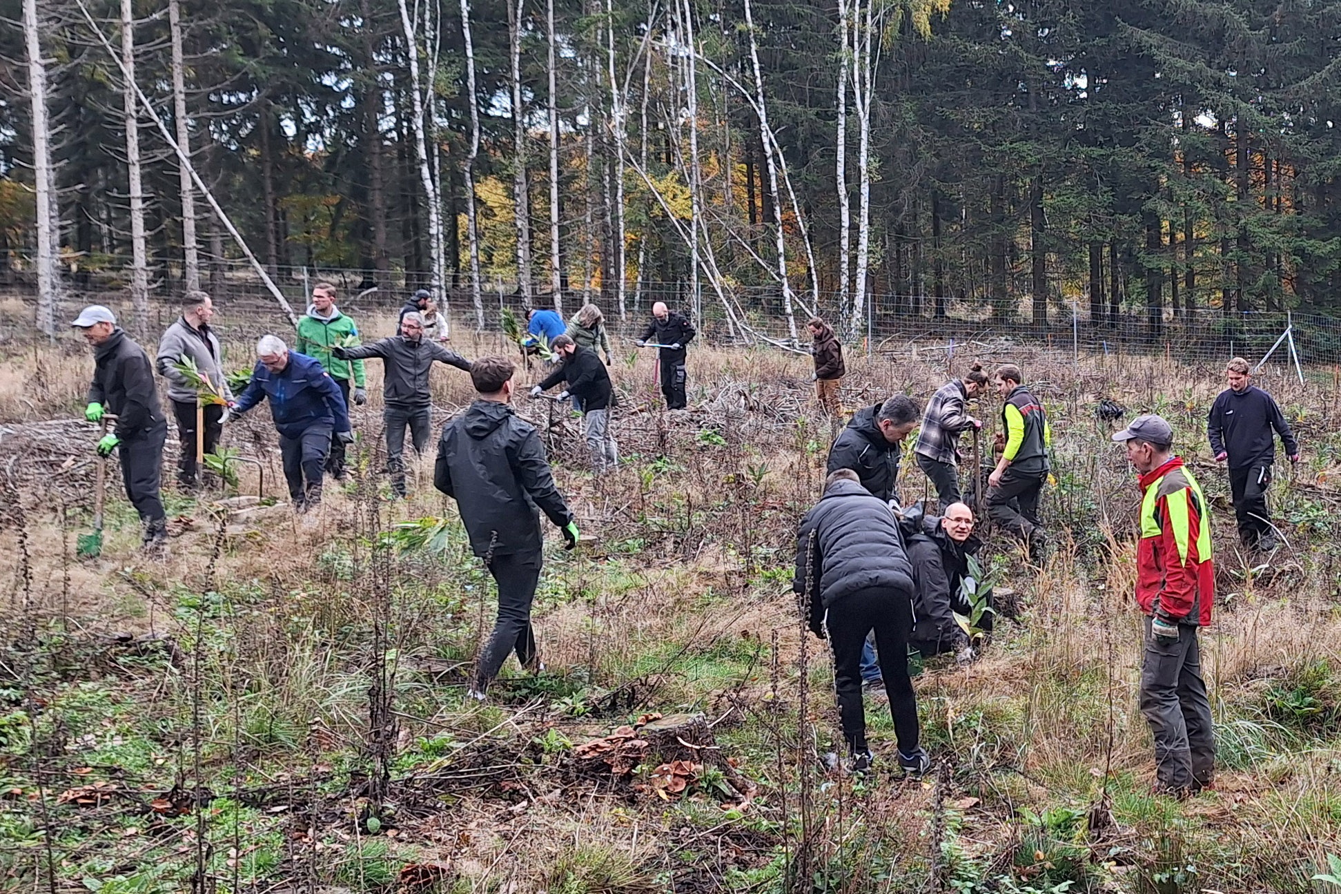Bildunterschrift: Voller Einsatz – 25 Helferinnen und Helfer waren bei der Pflanzaktion im vergangenen November tatkräftig im Einsatz