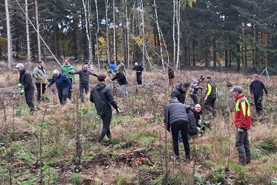 Bildunterschrift: Voller Einsatz – 25 Helferinnen und Helfer waren bei der Pflanzaktion im vergangenen November tatkräftig im Einsatz