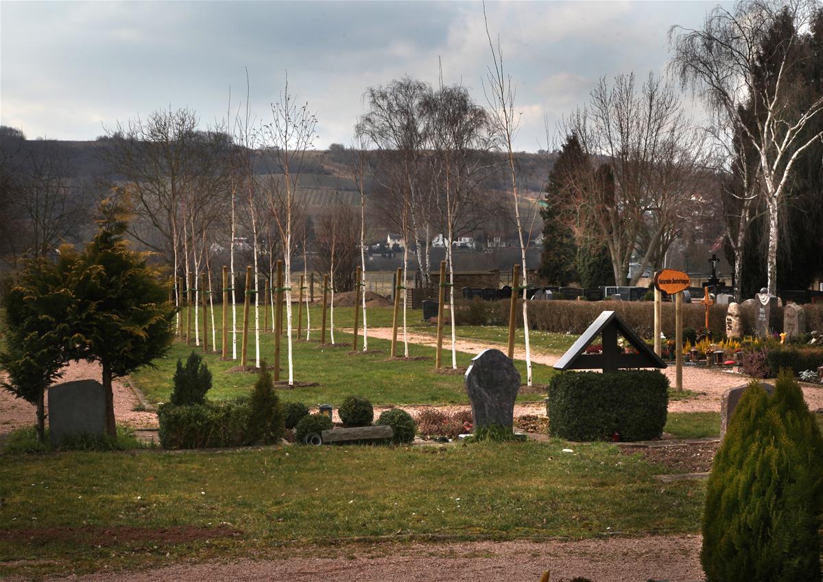 Friedhof Dietersheim