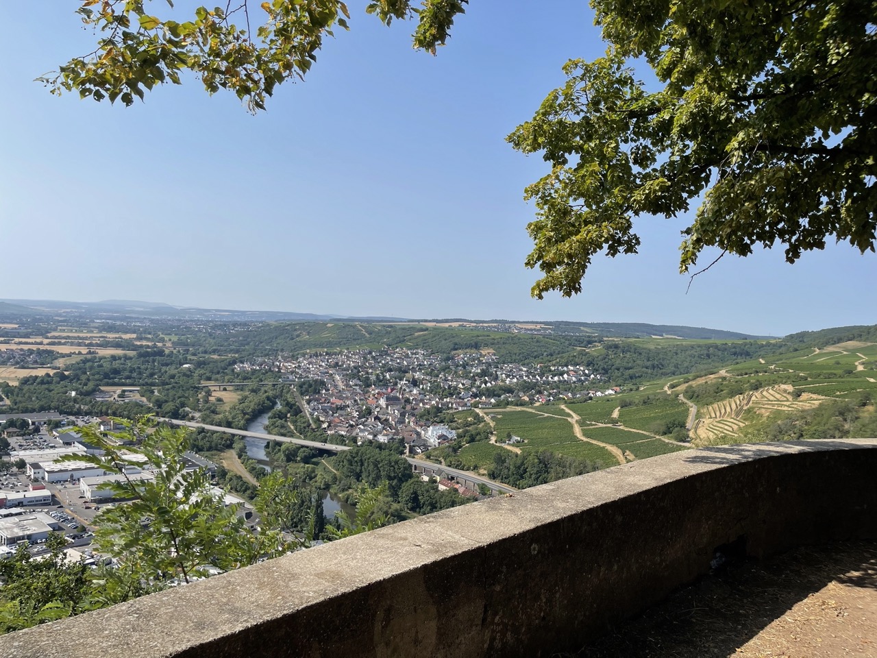 Blick vom Rochusberg