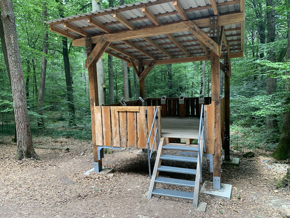 Der Kinderhochsitz im Binger Wald.