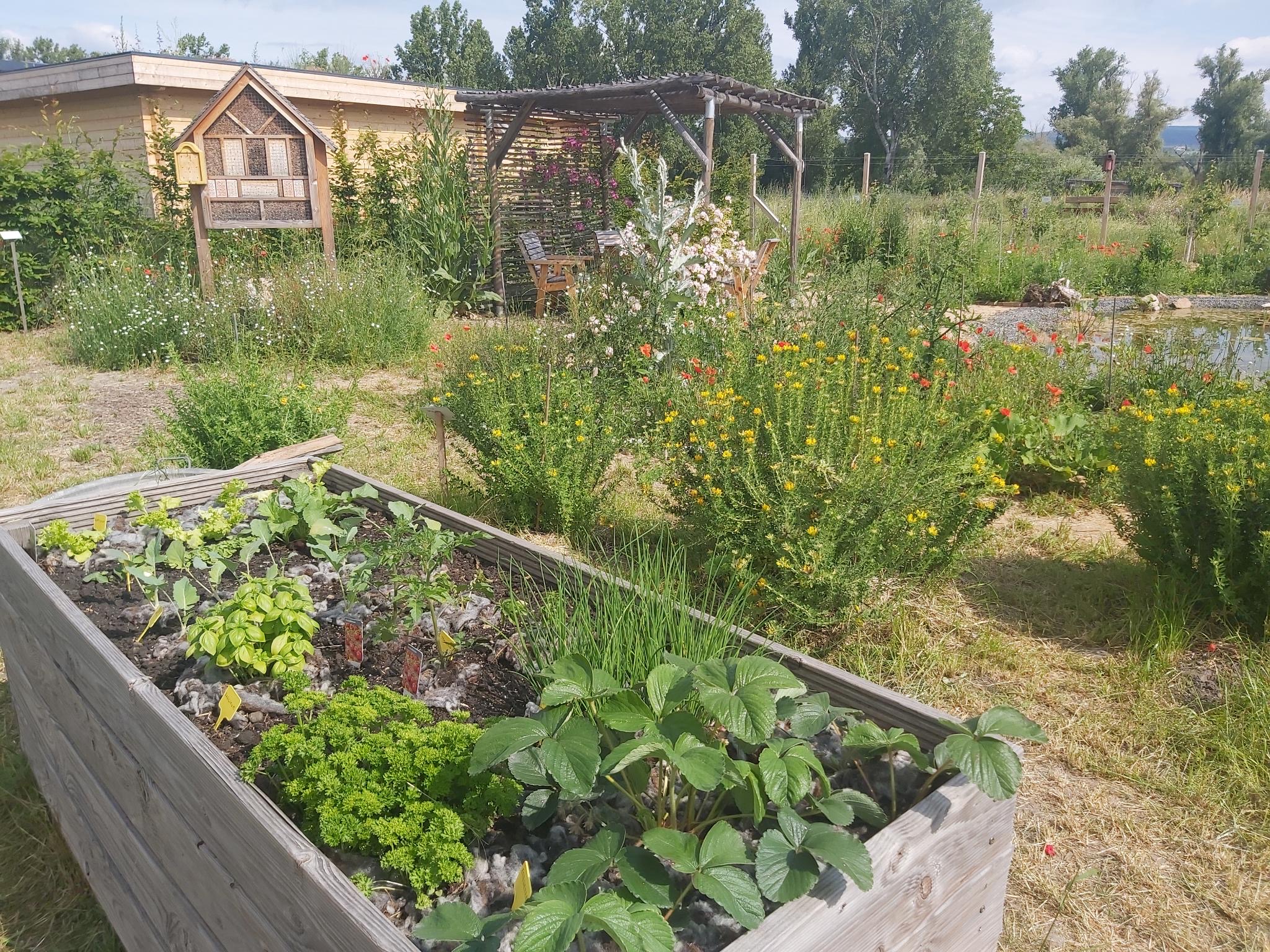 Tag der offenen Gärten Rheinhessens - Das NABU-Zentrum Rheinauen ist auch dabei!