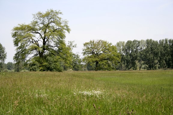 Im ständigen Wechsel