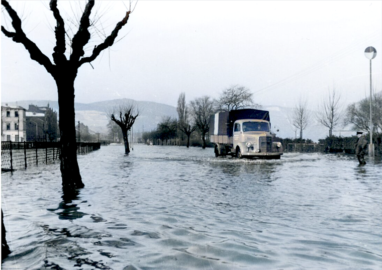 Hochwasser 1955 in den Rheinanlagen.