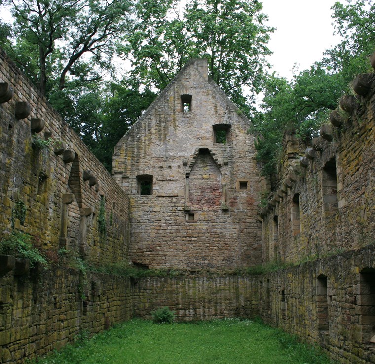 Die Klosterruine Disibodenberg.