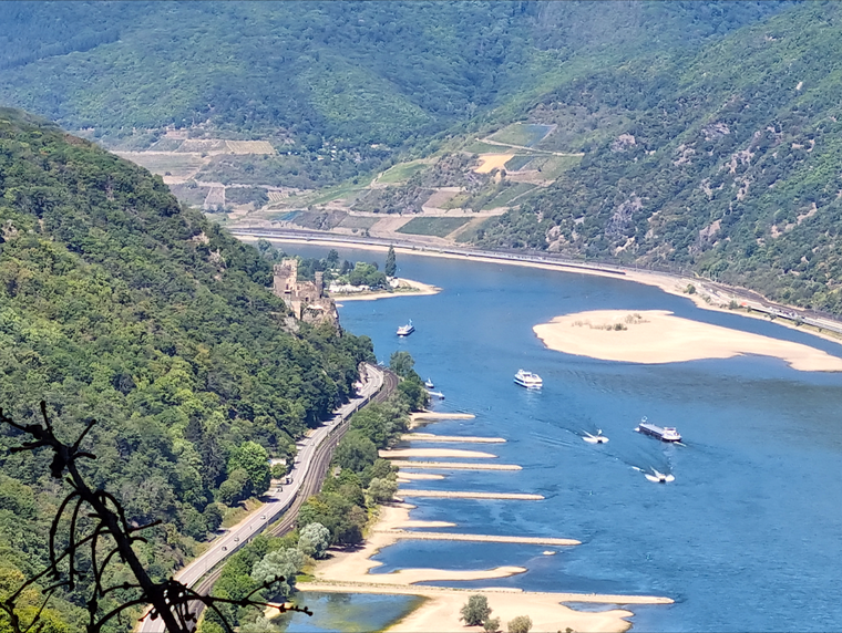 Blick vom Prinzenkopf auf die Burg Rheinstein bei Niedrigwasser, August 2022.