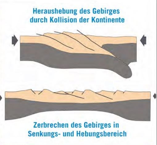 Vor 290 Millionen Jahren