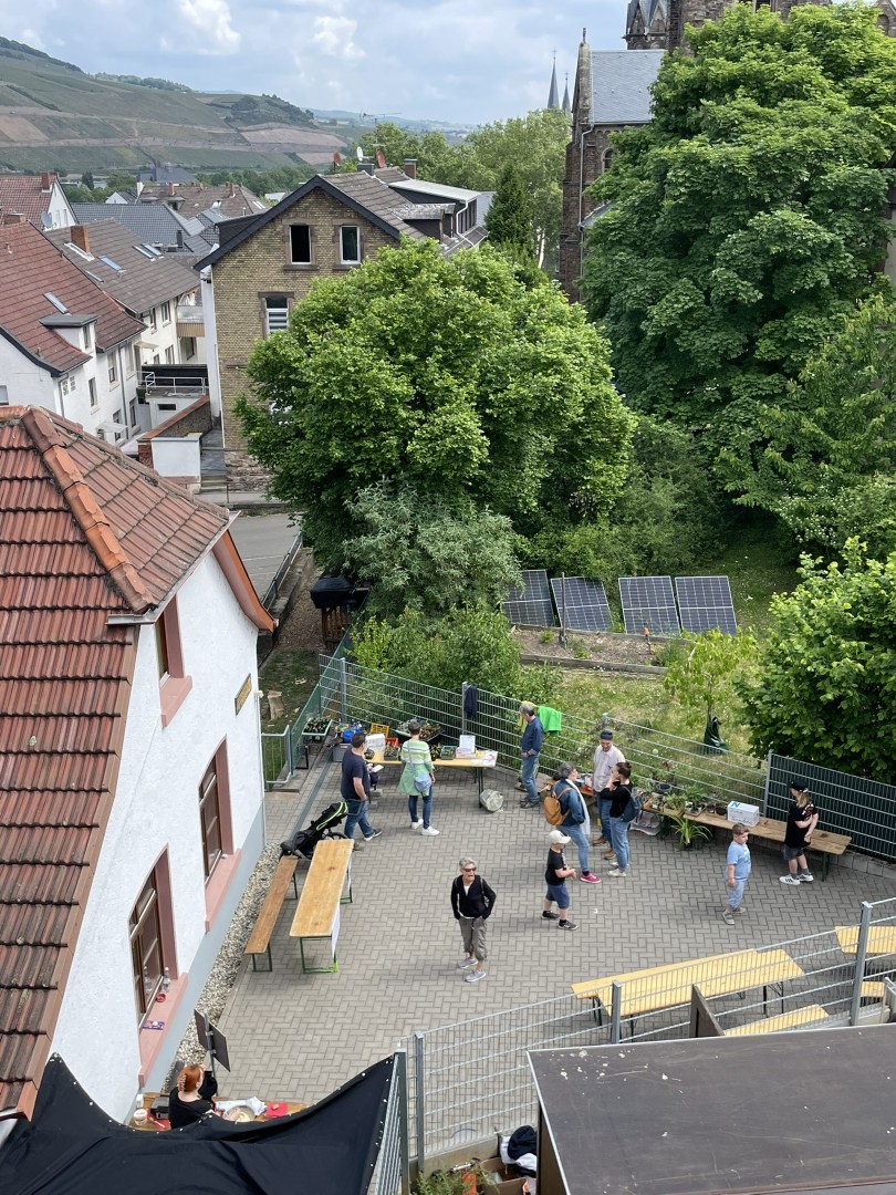   Quelle: Stadt Bingen | Kristina Speichert 