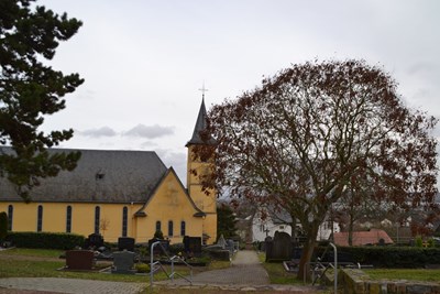 Der Kempter Friedhof mit der Dreikönigskirche.