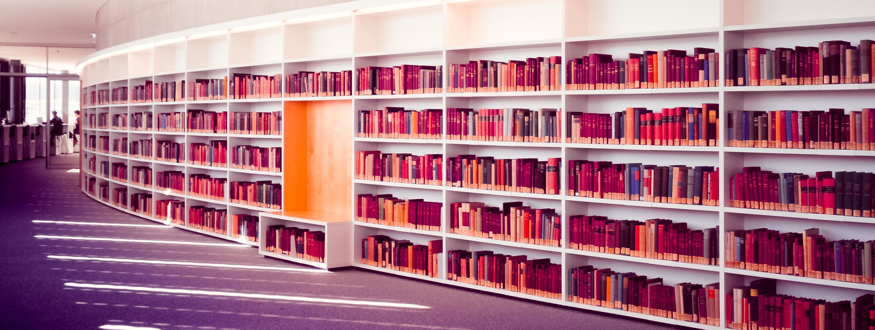 Bildung