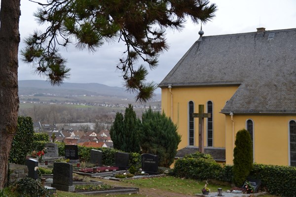 Der Kempter Friedhof mit der Dreikönigskirche.