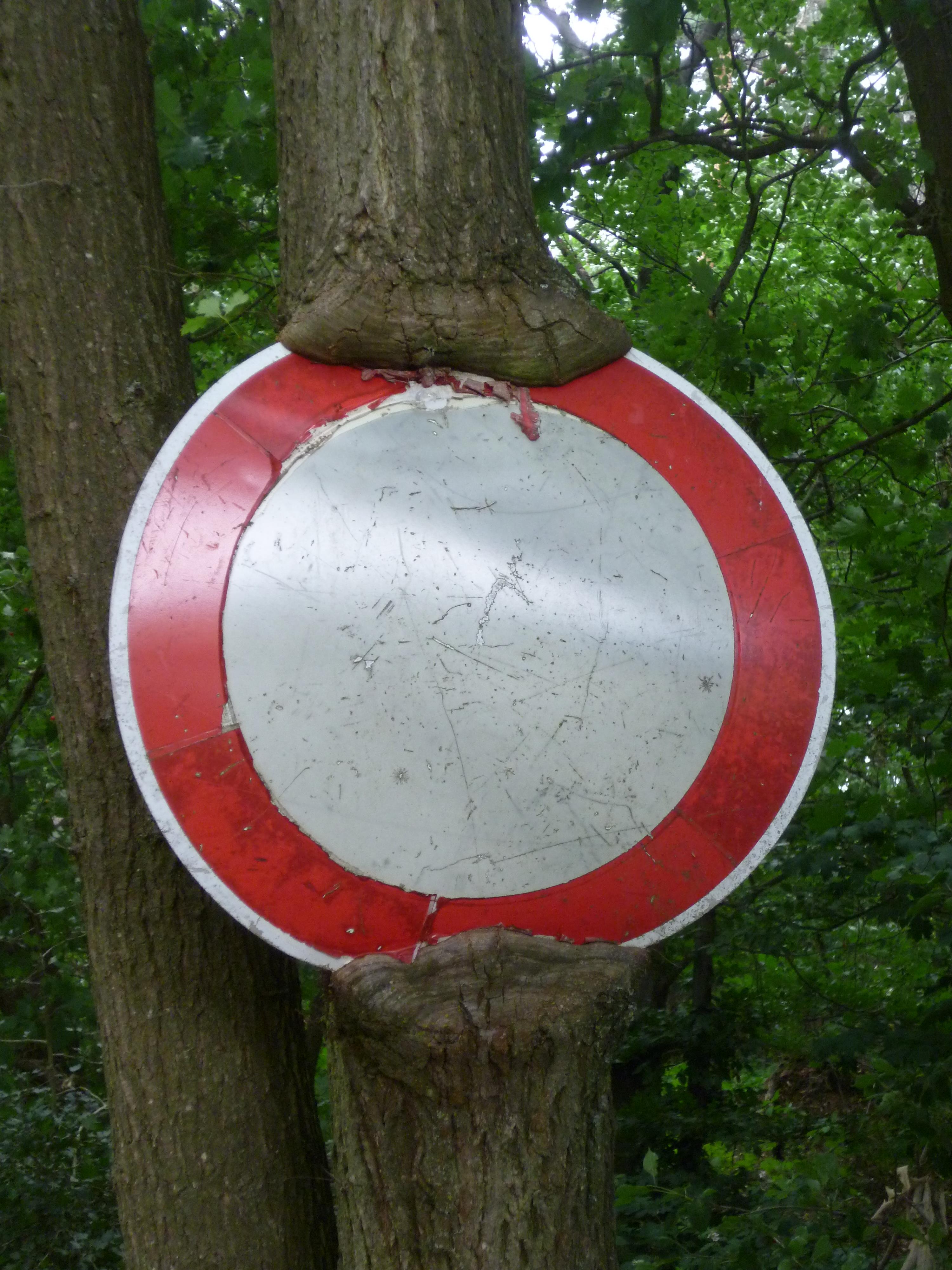 Schilderfresser – In Ermangelung eines Schildträgers wurden und werden häufig Bäume dazu genutzt, ihnen unsere Verbote oder deren Hilfsmittel aufzubürden. Auch dieser Baum war mit der Art und Weise der Schildbefestigung alles andere als zufrieden.   |  Quelle: Stadt Bingen