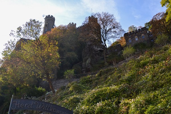 Die Burg Rheinstein.