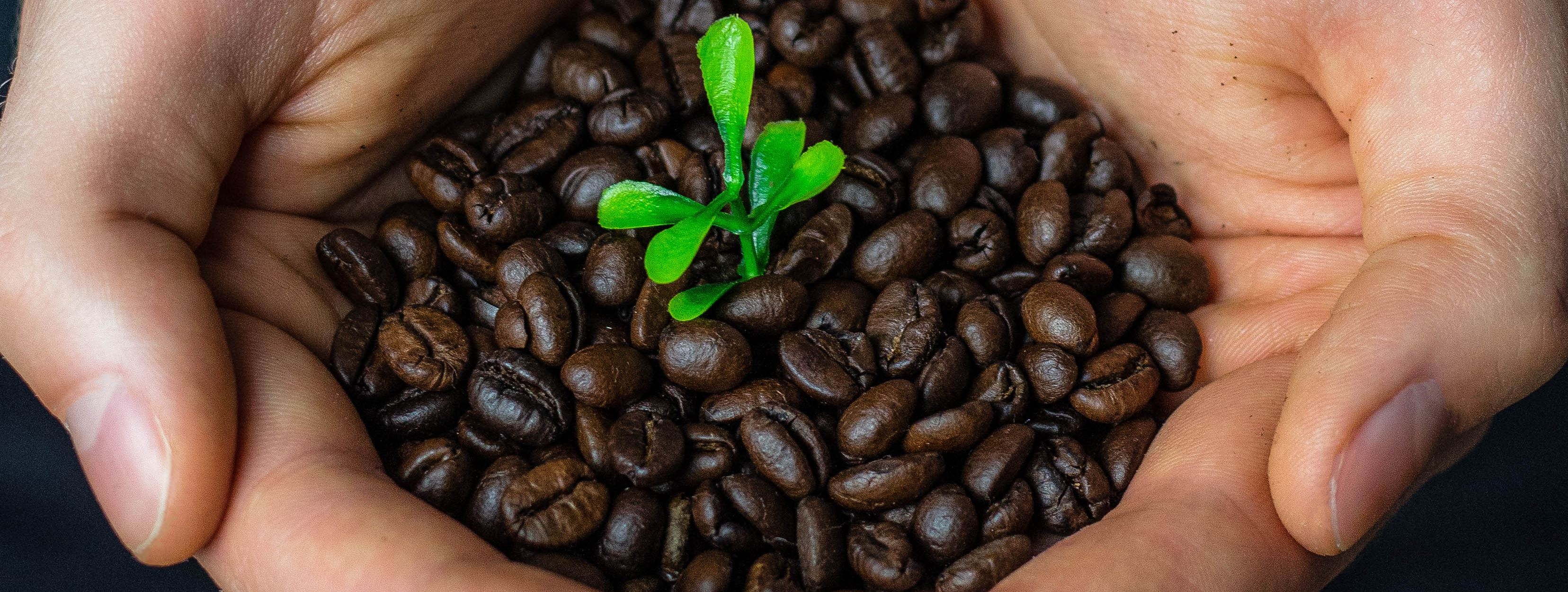 Fairtrade