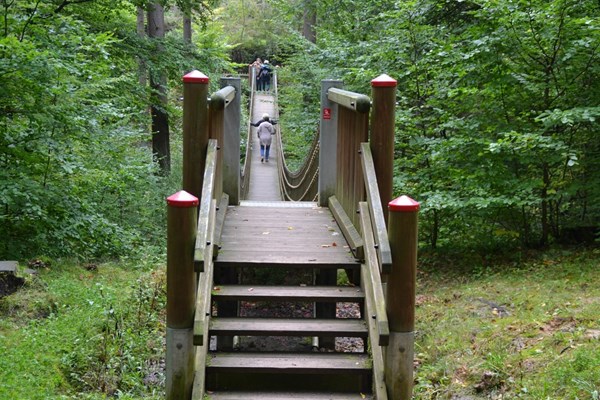 Die Hängebrücke im Binger Wald.