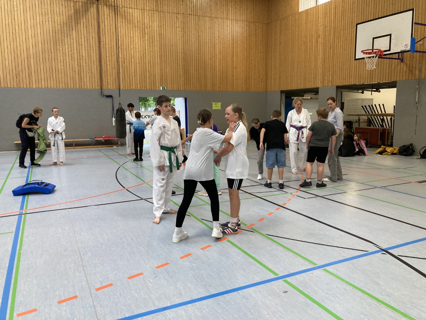 Taekwando    |  Quelle: Stadt Bingen