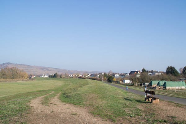 Der Nahedamm bei Dietersheim.