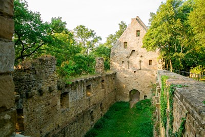 Wie lebten die Mönche und Nonnen im mittelalterlichen Kloster auf dem Disibodenberg?