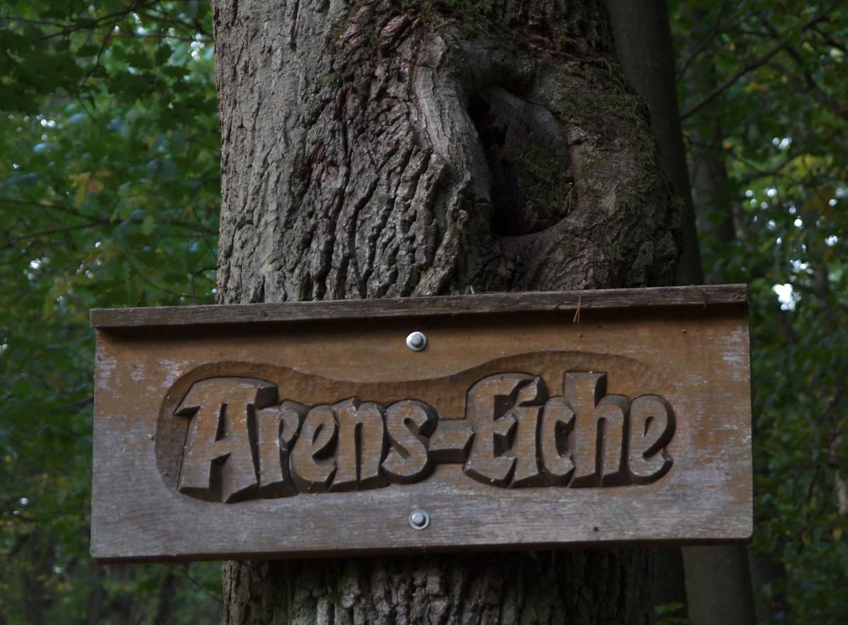 Namentlich bekannt – das trifft auf diese Eiche buchstäblich zu. Wer genau allerdings "Arens" ist oder war, konnte die Redaktion bislang nicht herausfinden.   |  Quelle: Burkhard Hinnersmann