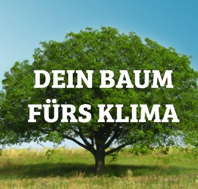 Dein Baum fürs Klima 2023