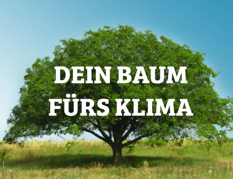 Dein Baum fürs Klima.