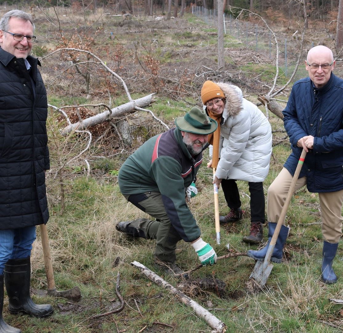 4.000 neue Bäume im Binger Wald