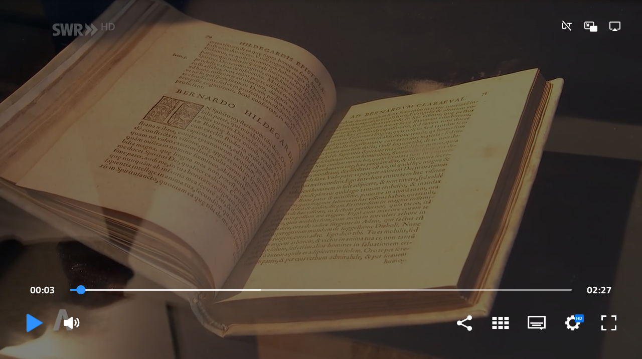Notfallplan für Museumsschätze in RLP