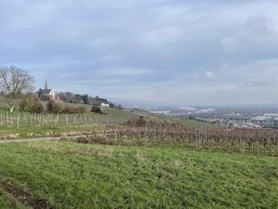Blick auf die Rochuskapelle