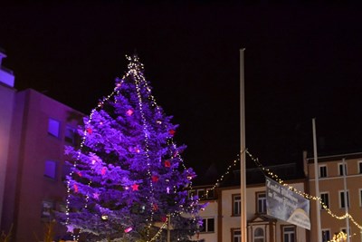 Der Weihnachtsbaum in der Binger Innenstadt