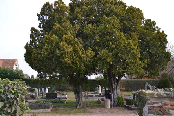 Auf dem Sponsheimer Friedhof.
