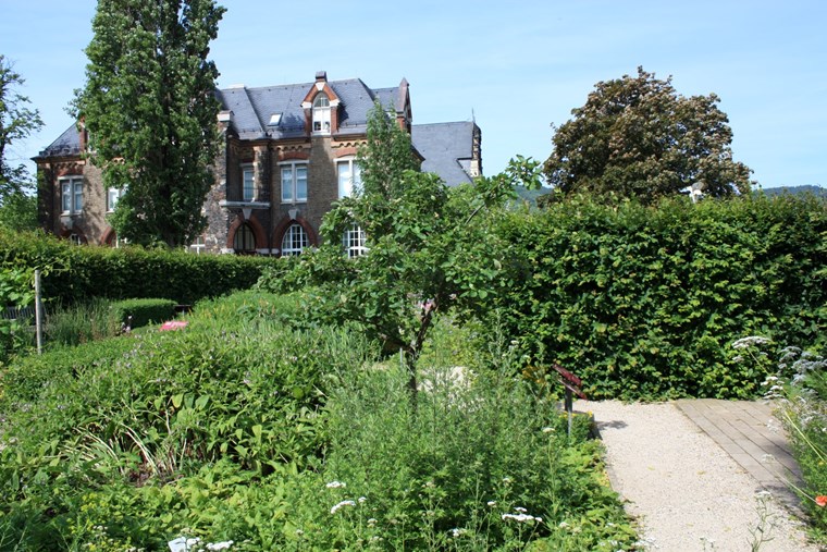 Hildegarten mit Blick auf das Museum am Strom