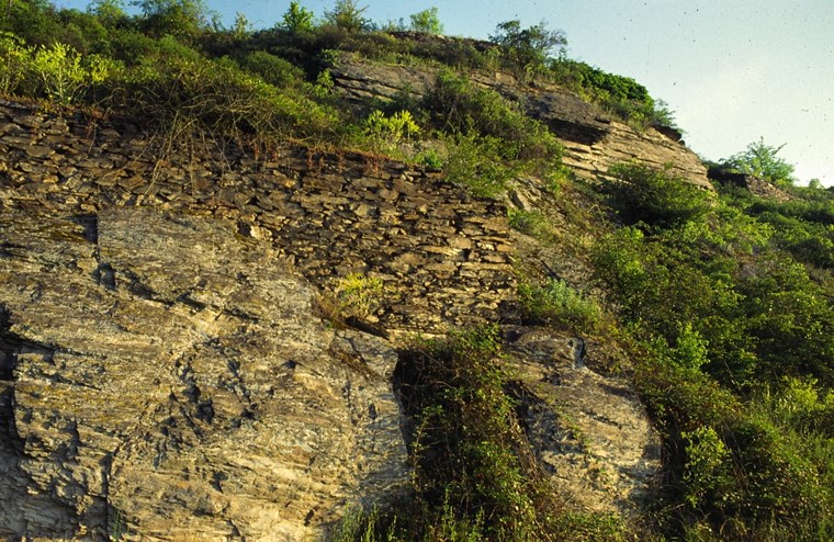 Felsen und Kleinterrassen bei Bacharach