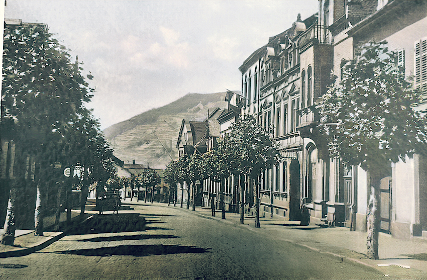 Die Koblenzer Straße als Allee