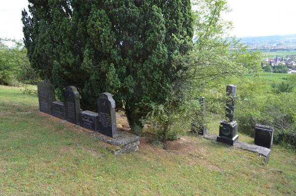 Der jüdische Friedhof in Dromersheim.