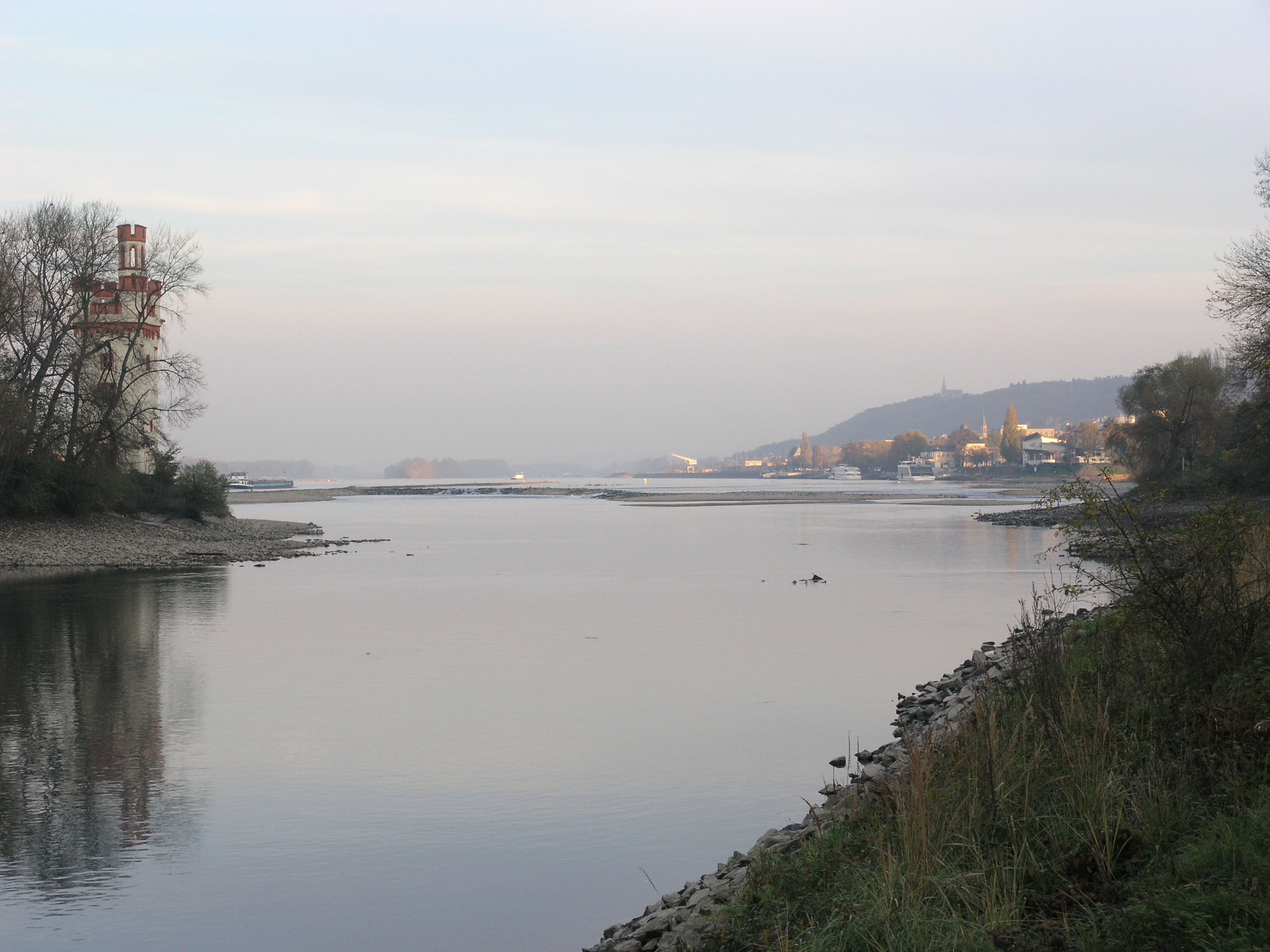 Binger Loch – Natura 2000  |  Quelle: Thomas Merz