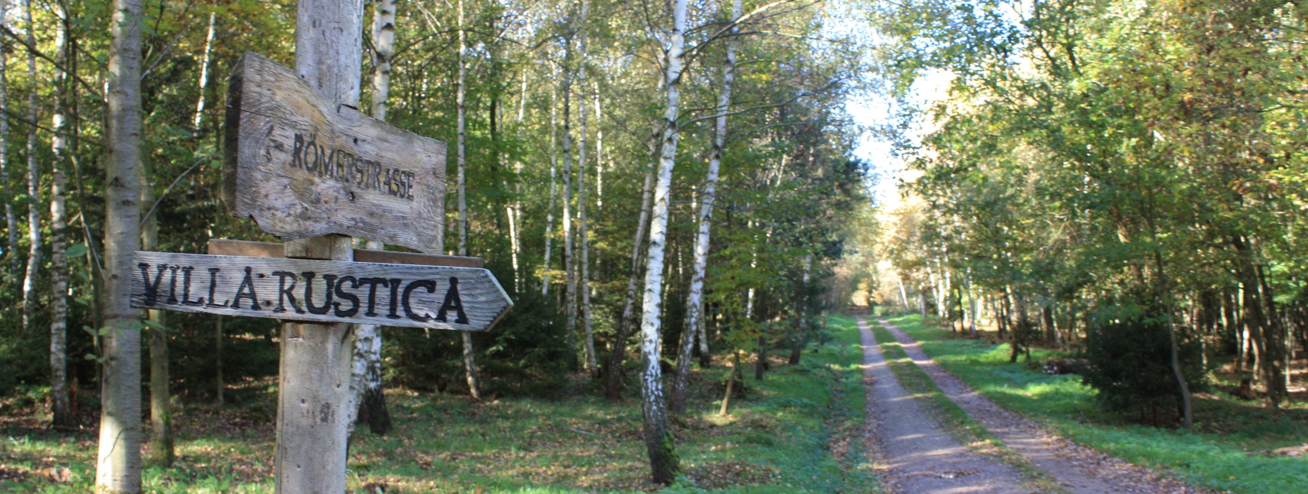 Bodendenkmal Villa Rustica Binger Wald