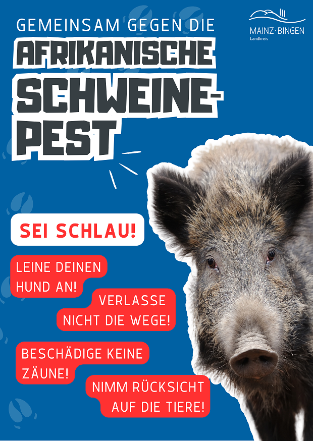 Plakat aus der ASP-Kampagne.