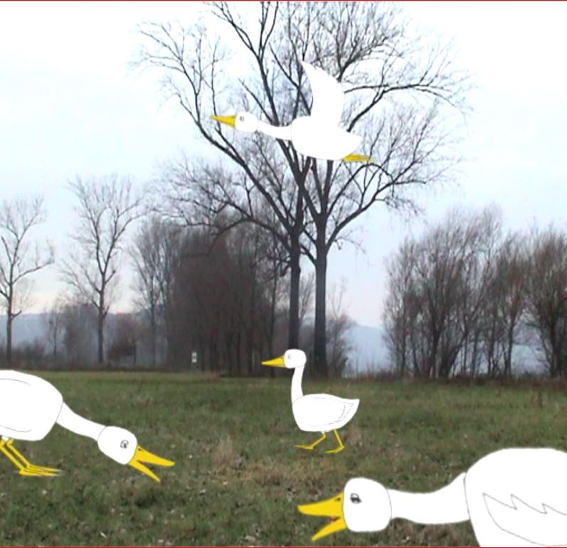 #3-1673: Die Gänse der Herrn Kellermeisters