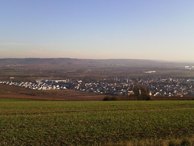 Bingen-Büdesheim vom Rochusberg gesehen