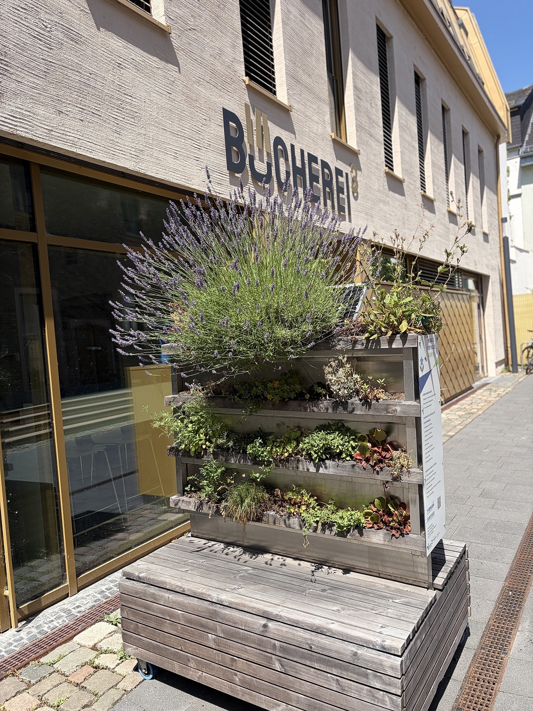 Der „MoBiGa“ im Lesehof der Bücherei³.