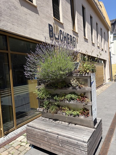 Der „MoBiGa“ im Lesehof der Bücherei³.