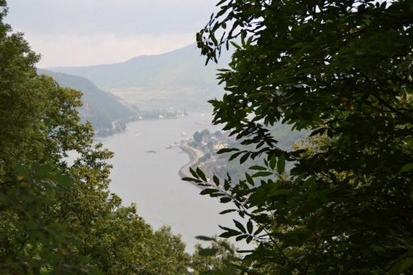 Blick vom Prinzenkopf rheinabwärts.