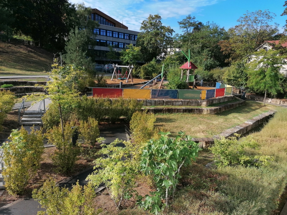 Klettergerüst   |  Quelle: Stadt Bingen