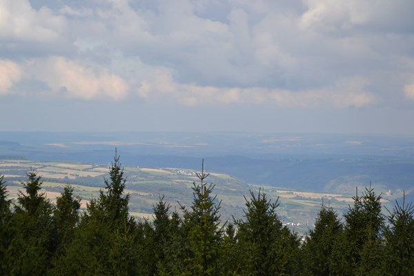Ausblick im Binger Wald.