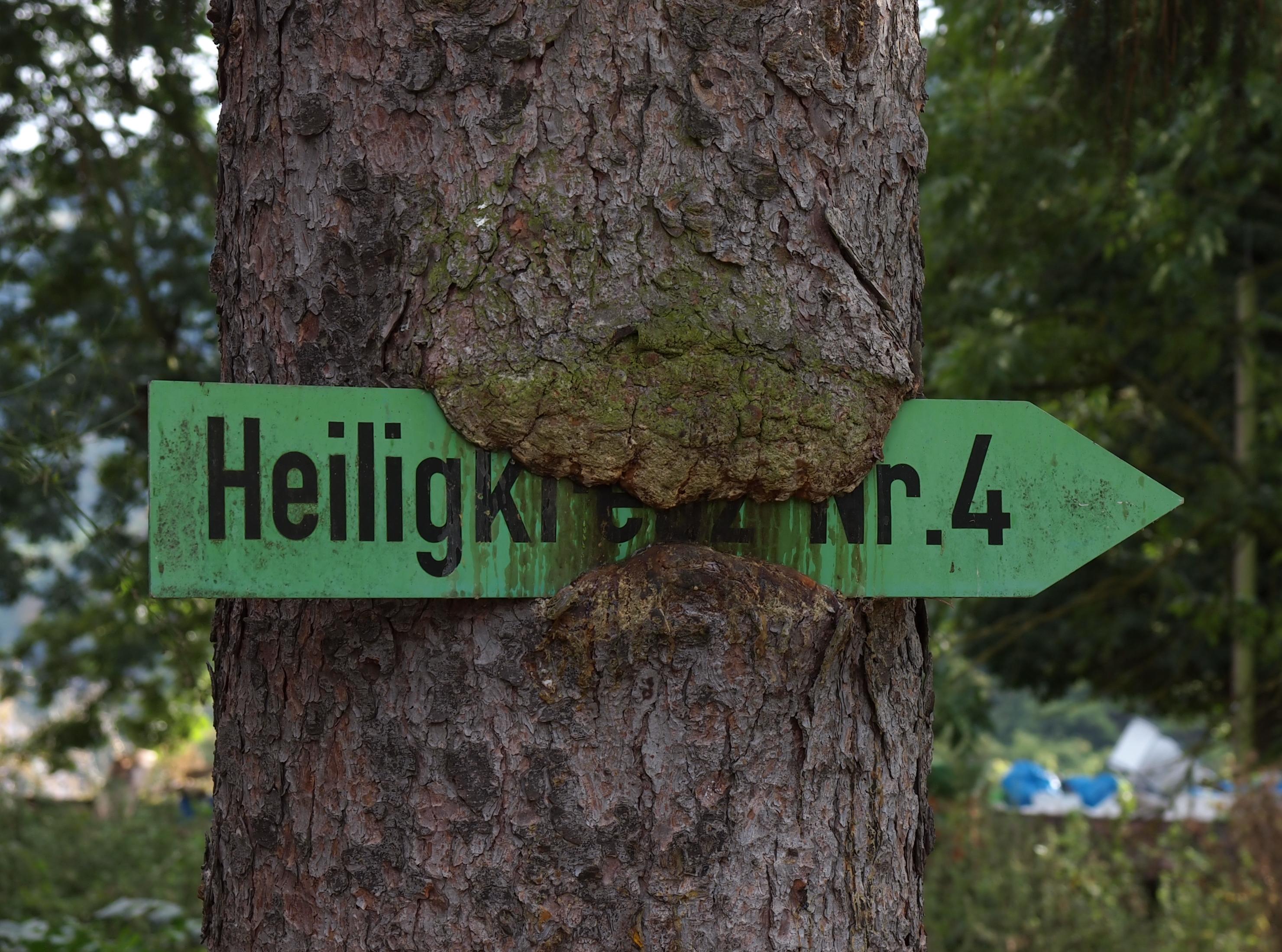 12 Jahre später, das Bild ist aus dem Jahr 2020, zeigt sich, dass sich der Baum das Schild noch ein bisschen mehr 'einverleibt' hat.  |  Quelle: Quelle: Burkhard Hinnersmann