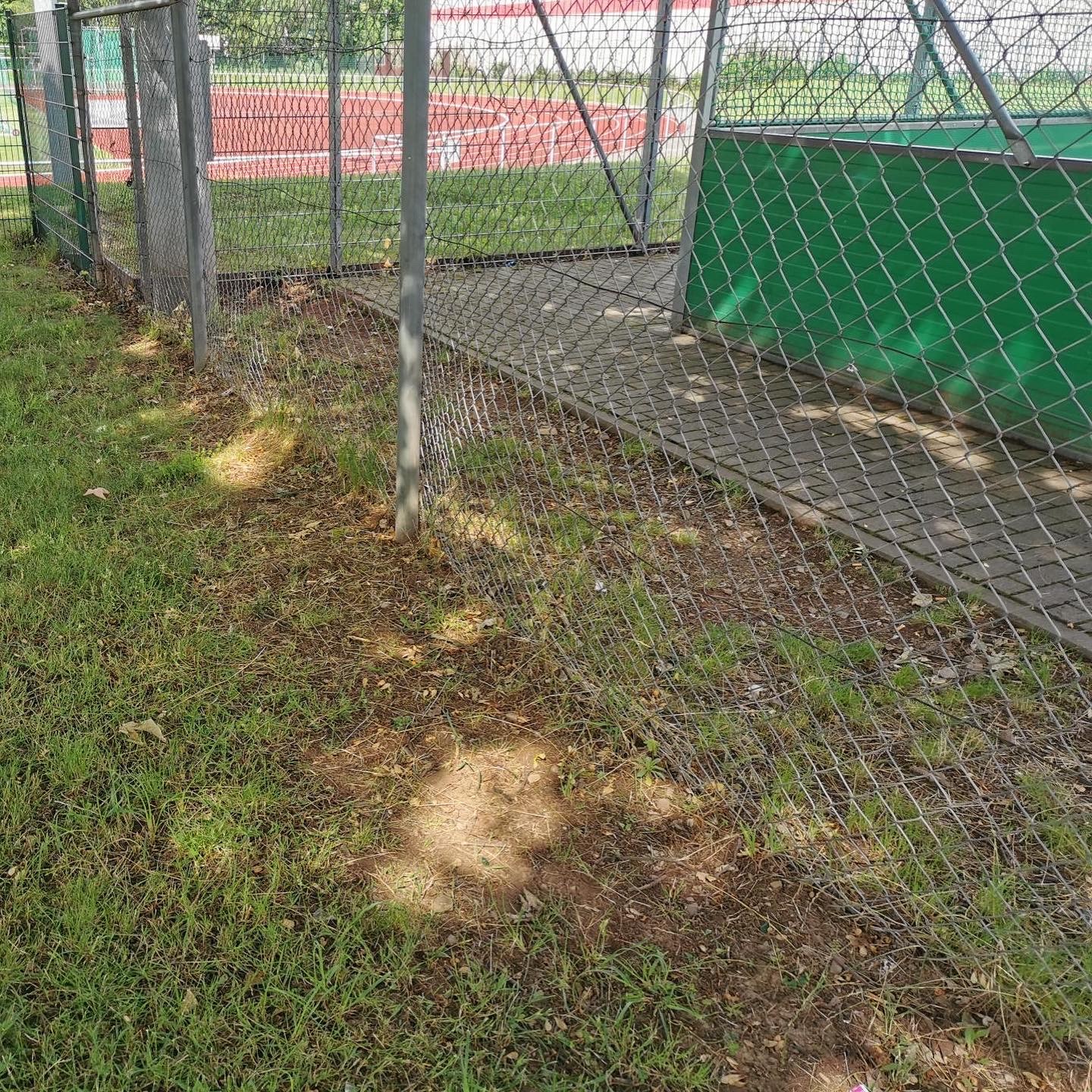 2021-07-02_Dreck-weg-Aktion_Rundsporthalle (6)  |  Quelle: Realschule plus Am Scharlachberg / Clemens Wandke